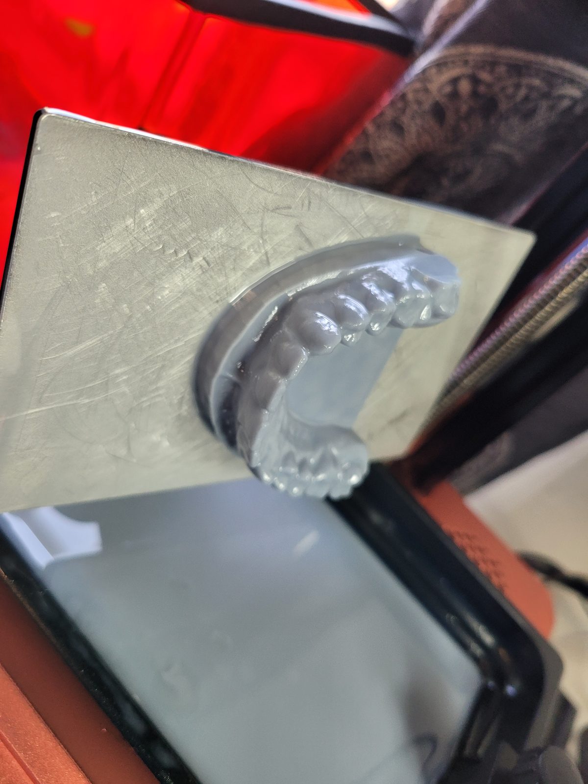 3D-printed dental model on a resin printer build plate